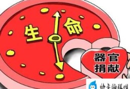 俄罗斯姑娘捐器官救4名广西患者(捐器官要具备什么条件)