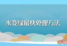 水变绿最快处理方法(水变绿最快处理方法是什么)