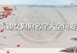 泰迪女狗狗名字大全可爱(女泰迪狗狗名字大全可爱)