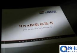 dna鉴定试剂盒多少钱(dna鉴定需要提供什么样本)