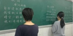 大学里适合女生的8个专业(女生适合学什么专业)