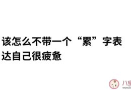 怎么不带累字表达自己很累(不带累字形容自己很累的一句话心情说说