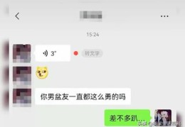 视频如何去除马赛克(如何去除马赛克)