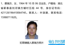 网上逃犯名单查询2019自首（温州网上通缉犯名单2019）