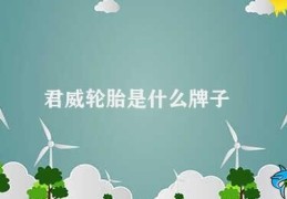 君威轮胎是什么牌子(君威轮胎：产品特点介绍)