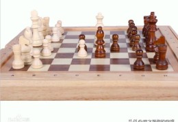 世界上有多少种棋子(世界上有多少种棋)