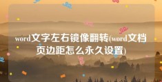 word文字左右镜像翻转(word文档页边距怎么永久设置)