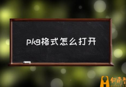 pkg文件怎么打开？(pkg格式怎么打开)