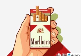 为什么万宝路是禁烟(marlboro多少钱一包)