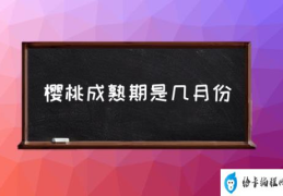 水果樱桃是什么时候成熟上市？(樱桃成熟期是几月份)