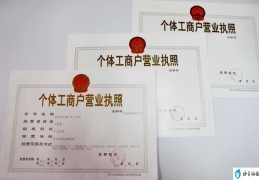 小店营业执照办理流程(营业执照办理需要什么材料)