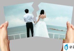 何洁离婚内幕大揭秘(何洁为什么离婚)