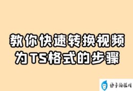 怎么把视频换成ts文件(TS是什么视频格式)