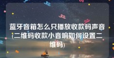 蓝牙音箱怎么只播放收款码声音(二维码收款小音响如何设置二维码)