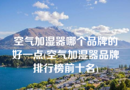 空气加湿器哪个品牌的好一点(空气加湿器品牌排行榜前十名)