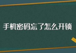 手机密码忘了怎么开锁(具体的步骤是什么)