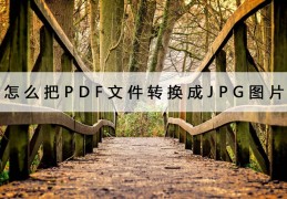 如何将pdf转为jpg格式(如何将pdf转换成jpg格式)