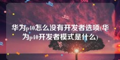 华为p40怎么没有开发者选项(华为p40开发者模式是什么)