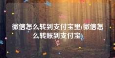 微信怎么转到支付宝里(微信怎么转账到支付宝)