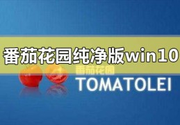 番茄花园纯净版win10系统在哪下载?番茄花园纯净版win10系统下载教程