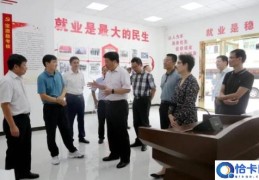 上海市人力资源和社会保障局莅习调研劳务协作工作(上海市人力资源和社会保障局莅习调研劳务协作工作)