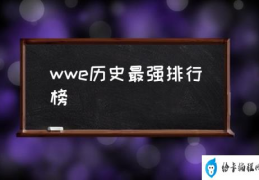 wwe历史最强排行榜(wwe十大历史排名？)