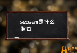 seosem需要什么专业？(seosem是什么职位)