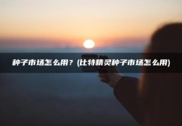 比特精灵种子市场怎么用(种子市场怎么用？)