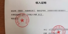 个人收入证明模板范本(个人收入证明怎么开)