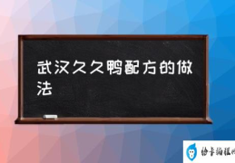 武汉久久鸭的配方？(武汉久久鸭配方的做法)