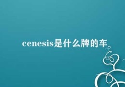 cenesis是什么牌的车(比亚迪公司的秦Pro)