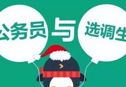 选调生和公务员的区别(选调生是什么意思啊)