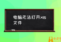 XLSX文件如何打开？(电脑无法打开xls文件)