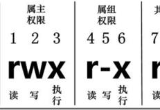 Linux中文件的基本属性介绍