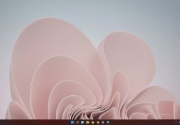 windows11怎么查看wifi密码?(win11查看wifi密码的技巧)