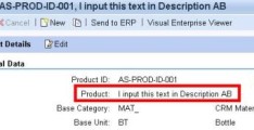 怎么分析SAP CRM里产品主数据的文本模型设计