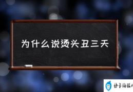 为什么说烫头丑三天(烫发后几天可以洗头？)