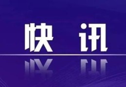 新一届全国人大代表选出共2977名 提请全国人大常委会确认并公布代表名单