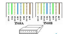 网线接线顺序为啥要跳线(网线接法详解)