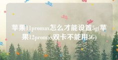 苹果11promax怎么才能设置5g(苹果12promax双卡不能用5G)