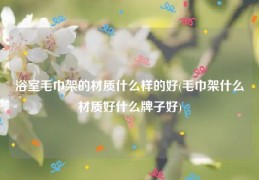 浴室毛巾架的材质什么样的好(毛巾架什么材质好什么牌子好)