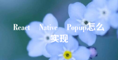 React Native Popup怎么实现