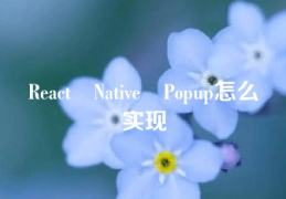 React Native Popup怎么实现