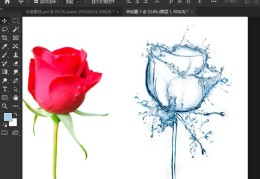 ps怎么制作创意的水形玫瑰?(ps玫瑰合成水玫瑰的技巧)