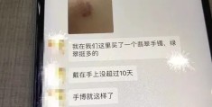 b货翡翠是什么意思(b货翡翠手镯对人体有害吗)