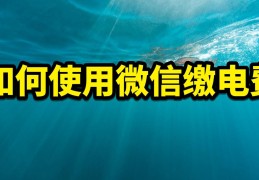 网上国家电网交电费app(网上缴电费怎么操作)