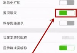 置顶聊天是什么意思(对方把我置顶了显示什么)