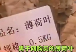 男子网购薄荷叶收到“薄”荷叶(网友：这也没毛病啊)