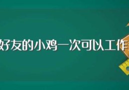 雇佣好友的小鸡一次可以工作多久(你知道吗)