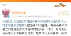 刘恺威女友李晓峰照片(港媒曝刘恺威李晓峰情变)